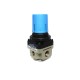 Pneumatic Air Regulator (Phoenix)